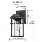 1 Light Black Coastal Barn Dome Outdoor Wall Lantern Clear Glass