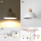 1-Light Modern Pendant Light Fixture with Plug-in Switch for Kitchen Island