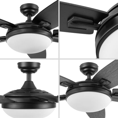 48 Honeywell Carmel Ceiling Fan with Integrated Light and Remote