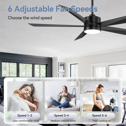 Breezary 65/52/42 5-Blade LED Ceiling Fan with Light Kit and Remote
