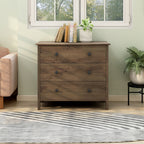 Mulgrew Rustic Walnut Storage Dresser by Carbon Loft