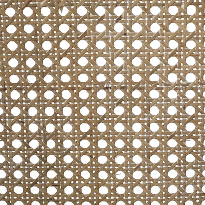 Christopher Knight Home Cataldo Fabric Upholstered Wood and Cane 25.5-Inch Counter Stools (Set of 2)