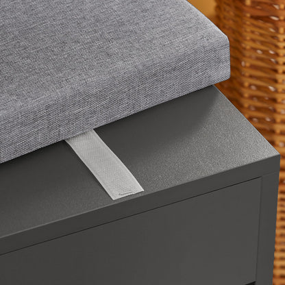 Meuble de rangement à chaussures SoBuy avec plateau relevable et coussin d'assise FSR45-DG