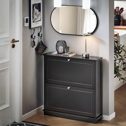 Meuble à chaussures SoBuy à 2 tiroirs, étagère à chaussures, armoire de rangement pour chaussures FSR99-SCH