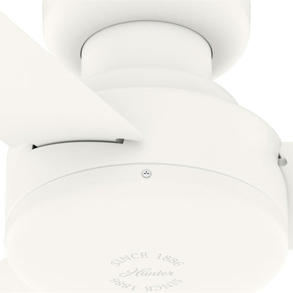 10' x 13' Steel Outdoor Pergola Gazebo, Patio Canopy with Drainage Holes for Backyard Pool Deck Garden